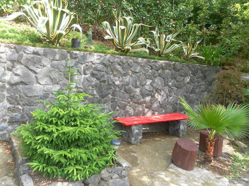 Holiday House Green Cape Batumi 호텔 엠비즈엔 콘스키 외부 사진