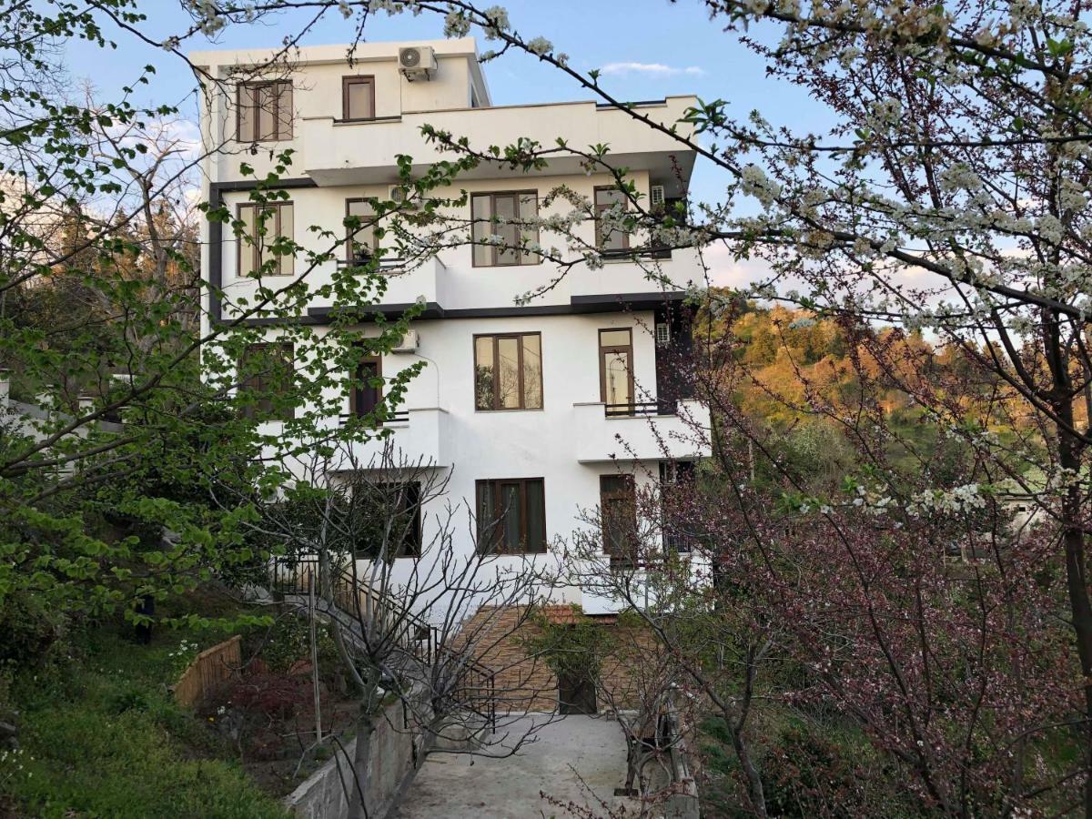 Holiday House Green Cape Batumi 호텔 엠비즈엔 콘스키 외부 사진