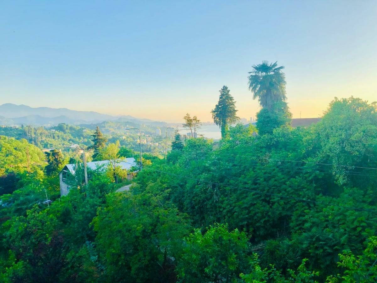 Holiday House Green Cape Batumi 호텔 엠비즈엔 콘스키 외부 사진